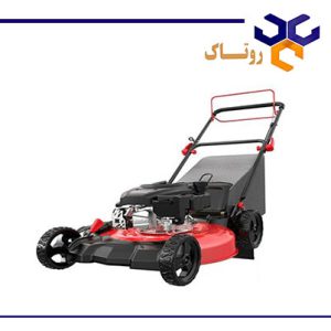 چمن زن بنزینی