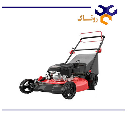 چمن زن بنزینی