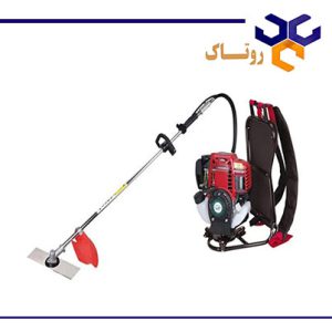 علف زن پشتی