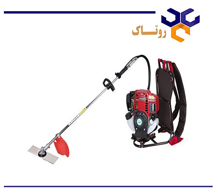 علف زن پشتی
